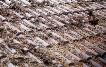 Trelewis roof cleaning companies