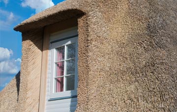 Trelewis thatch roof disadvantages